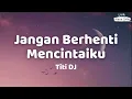 Download Lagu Titi DJ - Jangan Berhenti Mencintaiku - Lirik Masa SMA