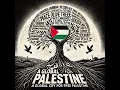 Download Lagu Azaadi Azaadi Palestine Ki – آزادی آزادی فلسطین کی | Urdu Song for Palestine Freedom by Sheraz Alvi
