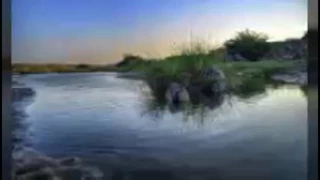 شيلة ياروح غامد وزهران 