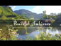 🌿🌞Begin Your Day with POSITIVE ENERGY🌿Healing Nature Sounds | Fresh Morning Peaceful Lake Ambience#1