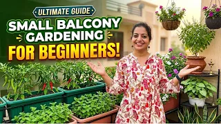 Small Balcony Gardening for Beginners🪴
