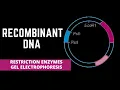 RECOMBINANT DNA RESTRICTION ENZYMES