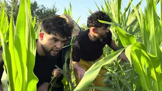 نمسكو عم يسـ ـرقو العرانيس خليل وعلاء 