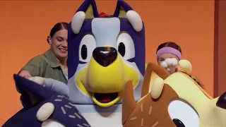 Bluey s Big Play