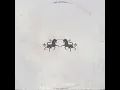 The Chainsmokers - Echo (feat. Oaks) [Extended Mix]