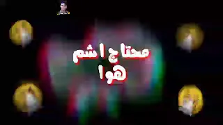 قلبي استوى 