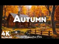 Download Lagu 4K Beautiful Relaxing Music 🍁 Enchanting Autumn Nature Scenes with Forest Sounds \u0026 Peaceful Music #6