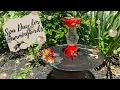 Turn a Tree Feeder Upside Down for a HUMMINGBIRD BATH