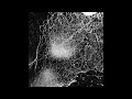 Download Lagu HADOPELAGYAL - Haematophoryktos (Full Album)