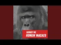 Lagu Rap do Homem Macaco