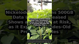 confirms 500GB Data Leak it Exposes Decades-Old Production Files