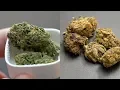 Blueberry Silvertip vs Blueberry Muffin - Weed Strain Battles
