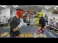 Floyd Mayweather Vs Jarvis Sparring 2023