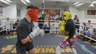 floyd mayweather vs jarvis sparring 2023 full hd