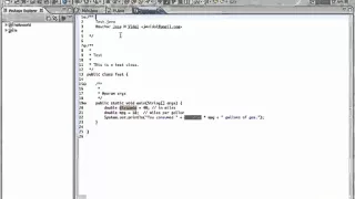 How to put Comments in java