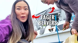 Hoisting NEW SAILS! – Ep 135