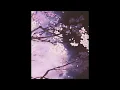 Choose me - Cathleen Kleinert [𝙎𝙡𝙤𝙬𝙚𝙙 + 𝙧𝙚𝙫𝙚𝙧𝙗]