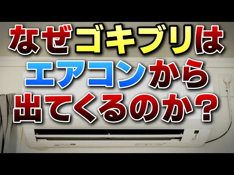 【多摩限定】薬剤3種+侵入口封鎖も料金内で7年連続アワード受賞！引越し前が効果的