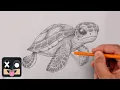 How To Draw a Sea Turtle Sketch Tutorial
