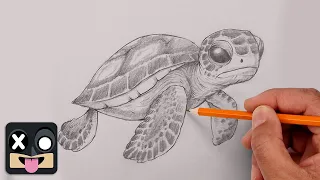 How To Draw a Sea Turtle Sketch Tutorial