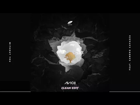 Download MP3 Avicii - Without You (feat. Sandro Cavazza) [Clean Edit]