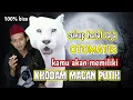 Download Lagu Hanya Ini amalan khodam macan putih paling mudah tanpa puasa