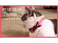DIY Cat Collar Tutorial Bow Bow Tie
