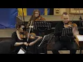 Download Lagu RIMBA for String Orchestra by Raymond Aliputera