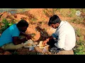 Download Lagu driver mallaya kavasam trailer coming soon full song