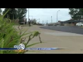 Greif animals in Berrien County