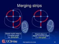 Quadrilateral and Tetrahedral Mesh Stripification Using the 2-Factor Partitioning of the Dual Graph