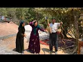 The Mountain Elder Hunted a Venomous Snake The Homeless Family s Incredible Reaction