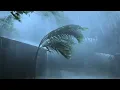 Goodbye Stress to Sleep Soundly with Mighty Tropical Storm, Heavy Rain, Strong Wind & Thunder Sounds