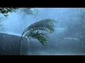 Download Lagu Goodbye Stress to Sleep Soundly with Mighty Tropical Storm, Heavy Rain, Strong Wind \u0026 Thunder Sounds
