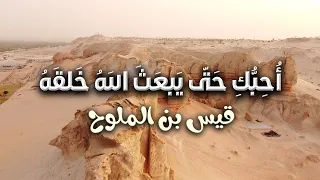 ولو أنني أستغفر الله كلما ذكرتك لم تكتب علي ذنوب مجنون ليلى قيس بن الملوح 