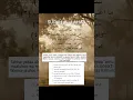 Download Lagu Surah Al-Lahab-Mishary Rashid Alafasy
