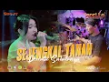 SEJENGKAL TANAH - OM. ADELLA LIVE PURBAYASA - TEGAL