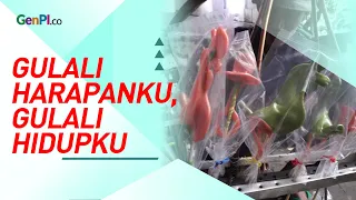 Dari Gulali Jadul Ini, Keluargaku Hidup Bahagia