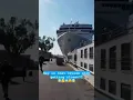 Cruise ship crashes into harbor