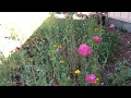 Sisters Oregon House For Sale - Wonderful Home In A Great Neighborhood