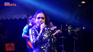 Download MONATA - SBY (SOSIAL BETAWI YO'I) - ELSA AMALIA - LIVE PURBALINGGA MP3