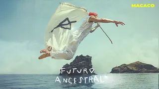Macaco - Futuro Ancestral (Visualizer)