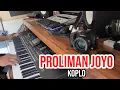 Download Lagu PROLIMAN JOYO | KOPLO | COVER