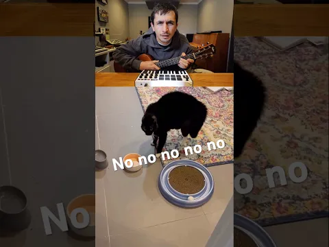 No no no no Cat 😹😹