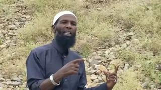 abdoosh aliyyii hammeenya kijibaa