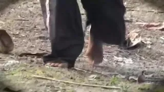 lagu nias sawuru geu ina