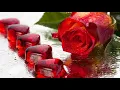 Mi primer amor. Pesado. (Letra)
