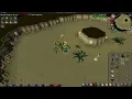 OSRS Boss Guide - KQ Veng Combat Achievement and No Anti Poison Needed Lunar