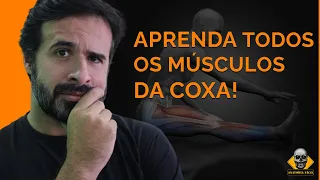 TODOS OS MÚSCULOS DA COXA EM 10 MINUTOS