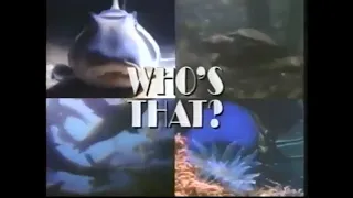 national geographics geo kids 1994 whos that living in the water 